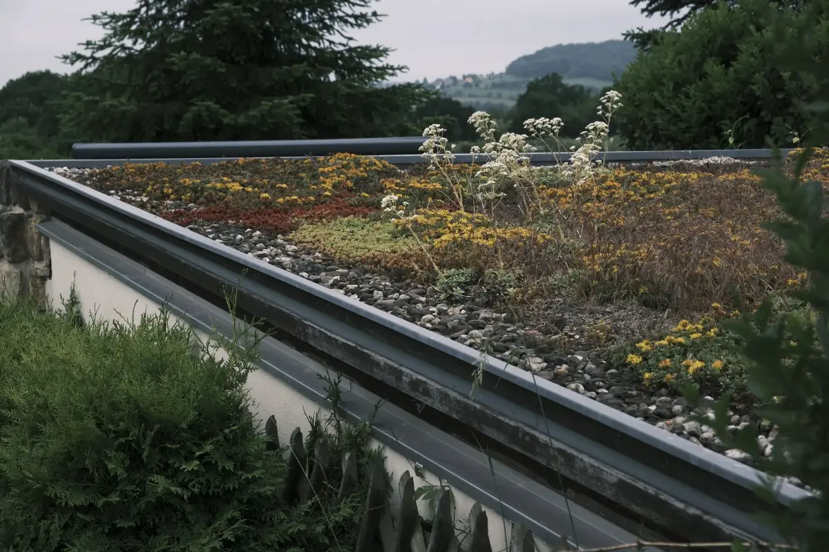 Pflegeleichte, extensive Dachbegrünung mit blühenden Sedum-Pflanzen