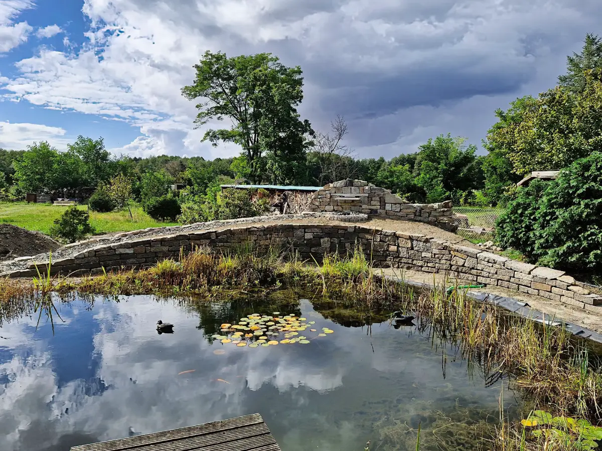 Naturnaher Schwimmteich mit Natursteinmauer, gebaut von Vimaana Garten